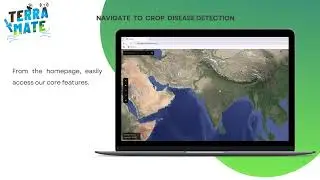 Catch crop diseases before they spread. Terramate sees it early.