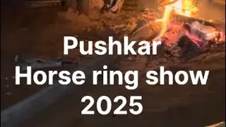 Pushkar horse ring show 