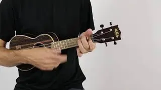 Kala KA-EBY-S Striped Ebony Soprano Ukulele | The Ukebug