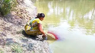 Cast Net Fishing | Beautiful Girl Catching Fish With A Cast Net | Village Extra (Part-80)