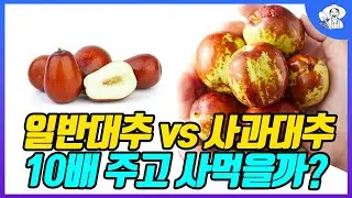 키우기 쉬운 고소득작물 사과대추로 연매출 4억 올리는 귀농 농부