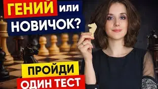 Гений или новичок? Пройди один тест