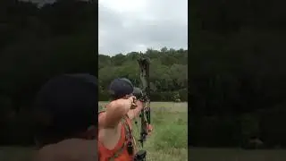 130 yards BOW SHOT at a bison (3D archery TAC)