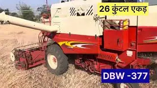 DBW -377 Gehu Harvesting 2025 संपूर्ण ✅ जानकारी farming kisan khategson 9165835436