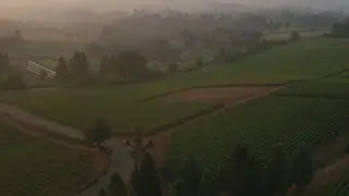 Wine Wednesday: Celebrating 20 years of Dundee Hills wine