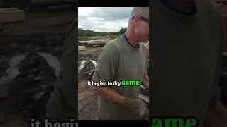 How Knots Effect The Sawing Process. #woodmizer #sawmilltips #sawmillwood