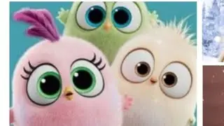 Cute 🥰 Angry birds dp |Angry birds cute 😍 pics |Angry birds cute little images for dp