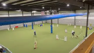 CPE Agility Wildcard - Justin - Judge Marianne Fieseler 10.25.2025
