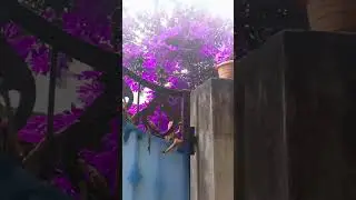 try this filter part 1
