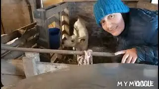 ALKEELLISTA...