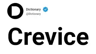 Crevice Meaning In English