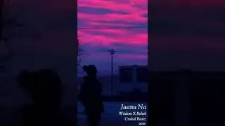 WISDOM X Roheb - Jaanu Na (Official Audio) | Prod. Crakal Beatz | Latest Hindi Song 2021