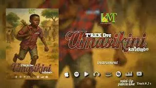 T'REX Drc katembo   Umaskini track N♪1 mini Ep pain to love Official audio lyrics2026