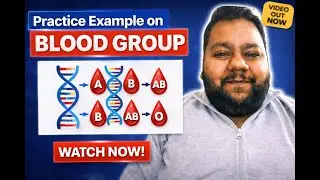 Blood Group Genetics Problem &mdash; Find the Parents&rsquo; Genotype (ABO Practice Question)