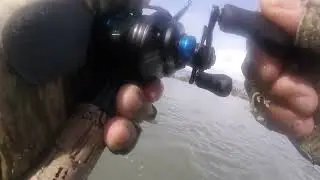 Black Drum on Texas Roach!!!!!!
