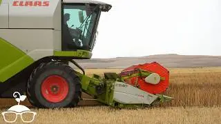 Monoculture in 100 Seconds