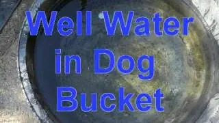 Stock Tank Defense