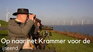 Op naar het Krammer voor de ijseend #1678
