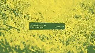 Parcels - Yougotmefeeling (PNAU Remix) (Visualizer)