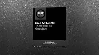 Soul Alt Delete - There was no Goodbye