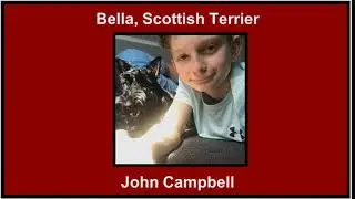 LCMS Virtual Pet Show