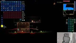 🔴 Let's Explore | Terraria