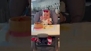Chaos, cuteness, and comedy #funnybaby #baby #cute #funnyvideos #funny #funnyclips