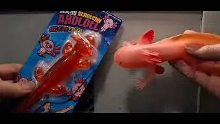 Stretchy Axolotl toy, Rep Pal by Deluxebase.
