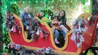 Train Ride at Live Oak Farm