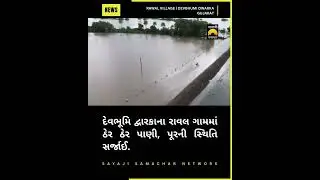 Rawal Village Under Water: Devbhoomi Dwarka Faces Flood Crisis