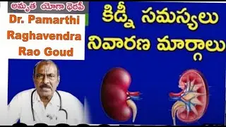 Kidney Disease Treatment and Symptoms in Telugu   9989955626   Amrutha Yoga Therapy MOULALI HYD
