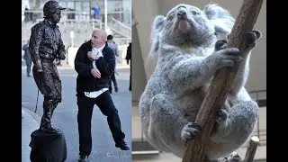 [Tama Zoo] Koala works hard as living statue