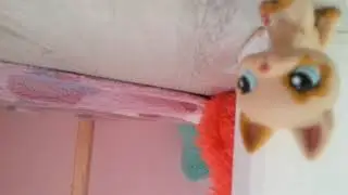 Petschop puschin