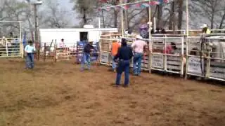 Kash's first bronc ride