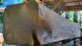 the amazing process of sawing fossil wood that has accumulated for decades in a sawmill 