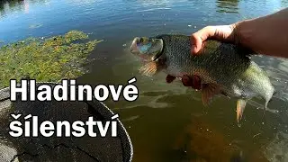 Záběry z Hladiny (Štiky, Boleni, Tloušti) - Plopper Lure Fishing