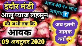 Indore Mandi Onion Arrival 09 Oct 2020 | Indore Mandi Arrival | Indore Mandi Bhav #TodayMandiRate