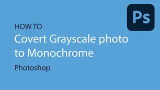 Covert Gray scale image to Monochrome