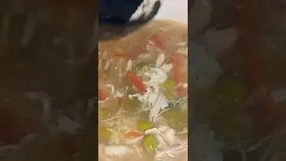 chicken and vegetable soup/ winter special/ for recipe visit channel#soup#winterspecial
