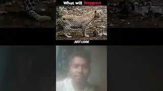 don't miss the end #wildlife #animals #zoo #whowillbemylifepartnerta #wildliferescue