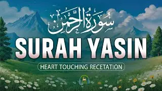Surah Yaseen (سورة يس) | Beautiful & Soothing Quran Recitation for Peace | Reciter Alaa Aqel