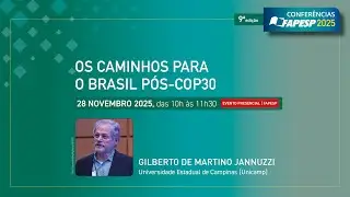 Os Caminhos para o Brasil Pós-COP30