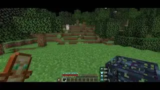 Donut smp dupe, STEP BY STEP guide
