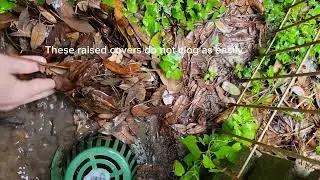 Raised Atrium Dome Drain Covers