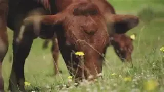 The Farming Community Network