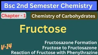(V-14) Carbohydrates | Reaction of Fructose with Phenylhrazine | Fructosazone Formation #fructose
