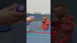 So Cute When Tiny Pruno Sit Quietly Wait Mom Mix Milk #cute #viralvideo #viralvideos