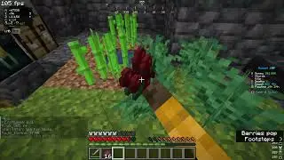 looking for a rommmate/teammate/tenant on the donutsmp on java