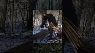 Cold Forest Survival, Sleeping Overnight in a Reinforced Nylon Tent / Camping / Building / DIY Wood