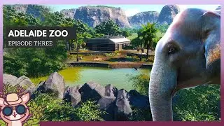 Planet zoo| Adelaide zoo | Indian Elephants Enclosure